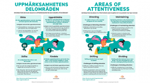 Tarkkaavuuden osa-alueet infograafi ruotsiksi ja englanniksi